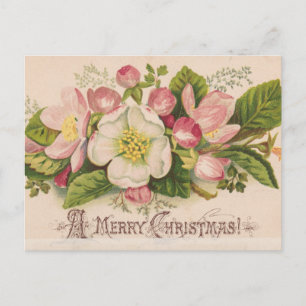 Postal Vintage A Merry Christmas Apple Blossoms