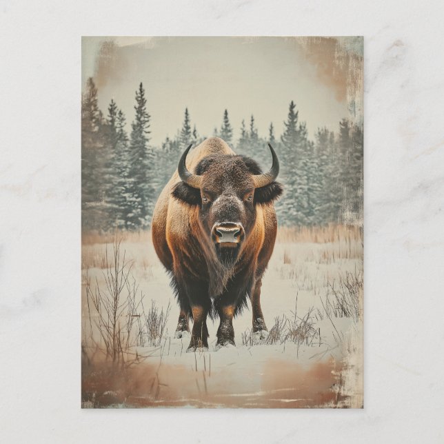 Postal Vintage Amerikanischer Büffel Bison im Winter (Anverso)