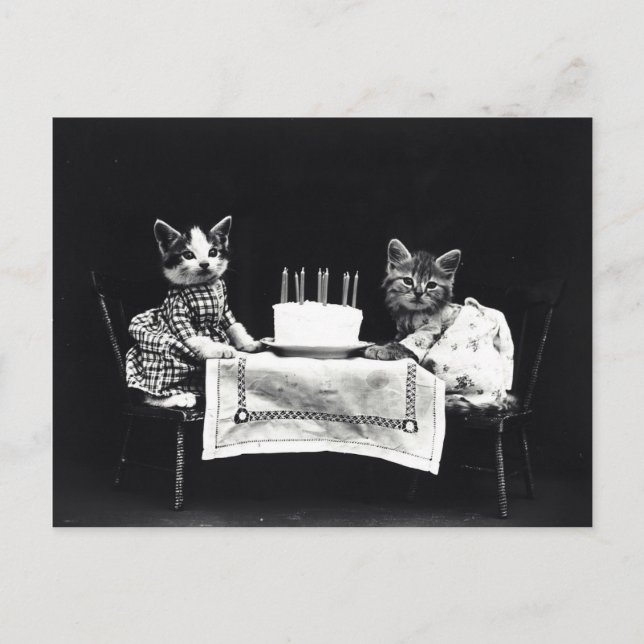Postal Vintage aniversario de Chatons (Anverso)