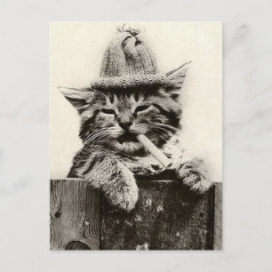 Postal Vintage Antigüedad divertida Nostalgia lindo gato/
