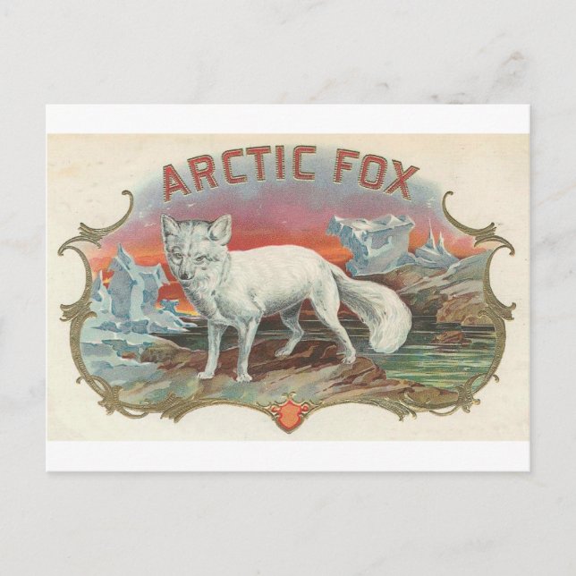 Postal Vintage Arctic Fox (Anverso)