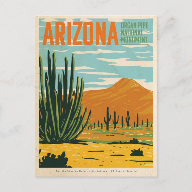 Postal Vintage Arizona Desert Cactus  (Anverso)