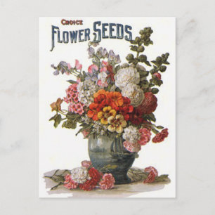 Postal Vintage Assorted Annuals Seed Packet