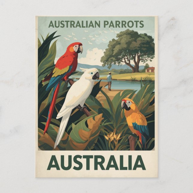 Postal Vintage Australia Parrots Wildlife (Anverso)