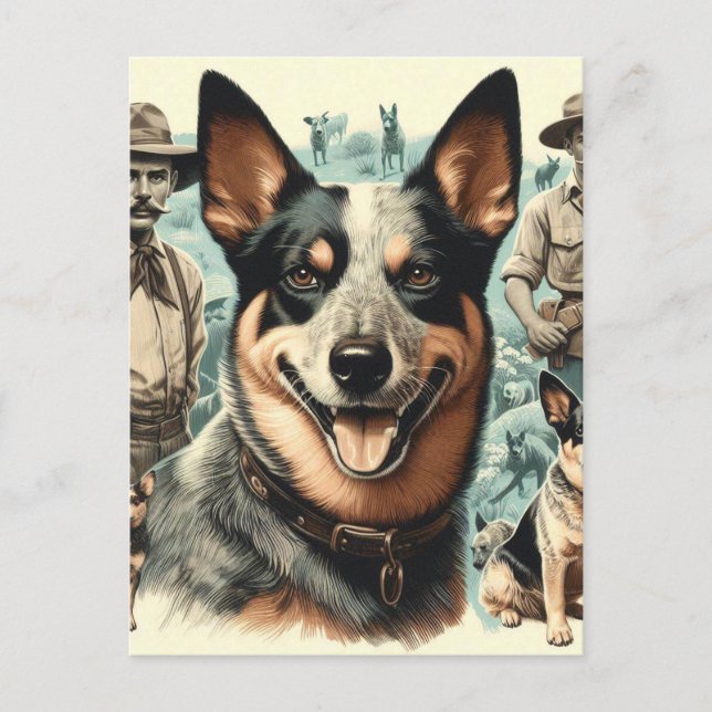 Postal Vintage Australian Cattle Dog Ilustracion (Anverso)