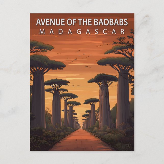 Postal Vintage Avenue of the Baobabs Madagascar Travel (Anverso)