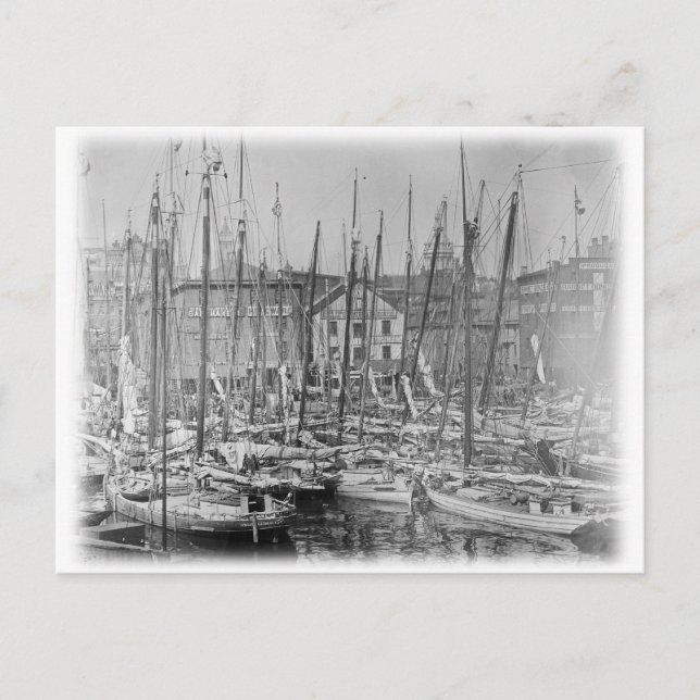 Postal Vintage Baltimore Skipjack Sailboat (Anverso)