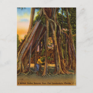 Postal Vintage Banyan Tree, Fort Lauderdale, Florida