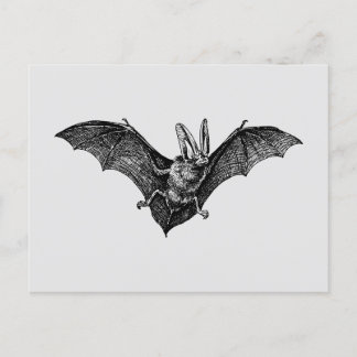 Postal Vintage Bat Gothic Vampire