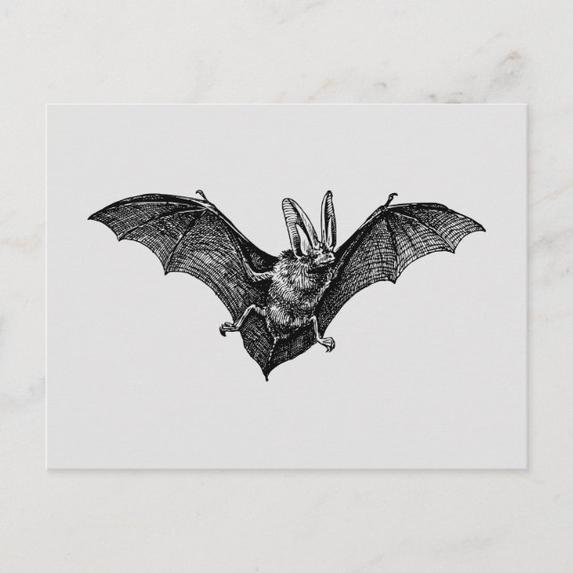 Postal Vintage Bat Gothic Vampire (Anverso)