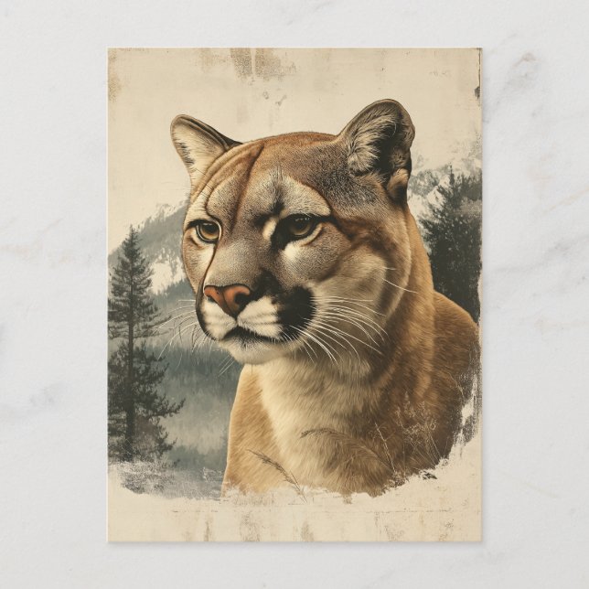 Postal Vintage Berglöwe In Winterlandschaft (Anverso)