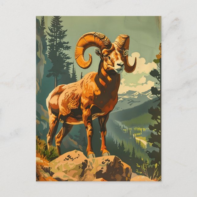 Postal Vintage Bighorn Sheep Ilustracion (Anverso)