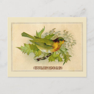 Postal Vintage Bird