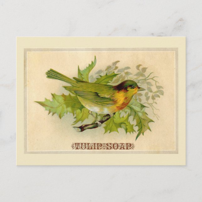 Postal Vintage Bird (Anverso)