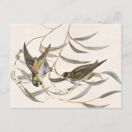 Postal Vintage Bird
