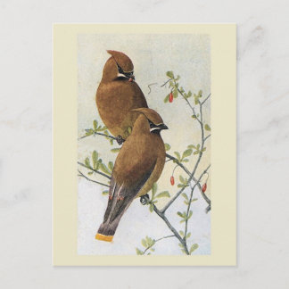 Postal Vintage Bird 01 Waxwing