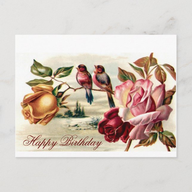 Postal Vintage Bird Rosas Birday Postcard (Anverso)