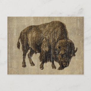 Postal Vintage Bison