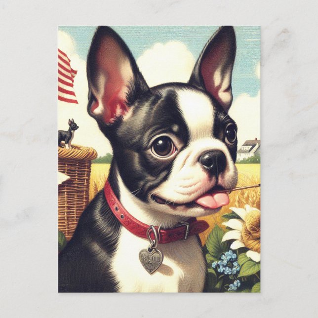 Postal Vintage Boston Terrier Ilustracion (Anverso)
