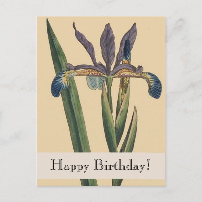 Postal Vintage Botanicals Iris Birthday Postcard (Anverso)
