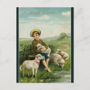 Postal Vintage Boy With Lambs Easter