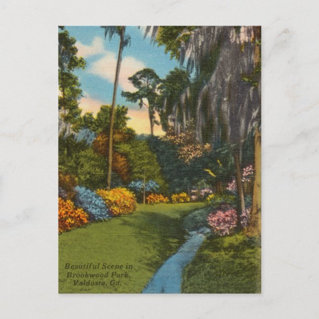 Postal Vintage Brookwood Park, Valdosta Georgia (Anverso)