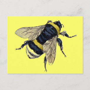 Postal Vintage Bumble Bee