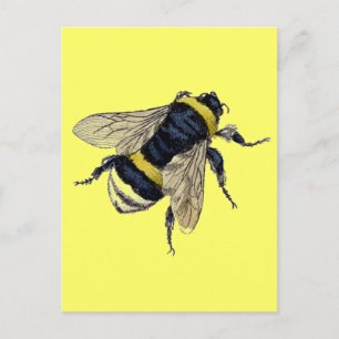 Postal Vintage Bumble Bee