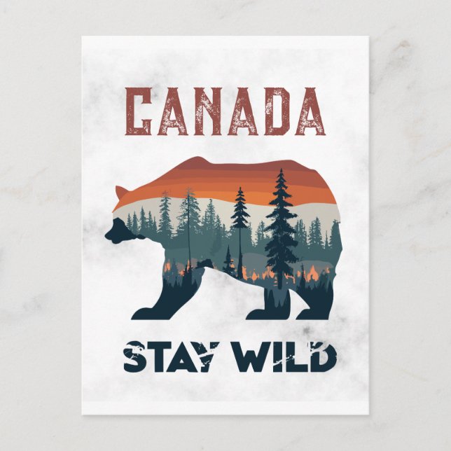 Postal Vintage Canada Bear Stay Wild Travel Postcard (Anverso)