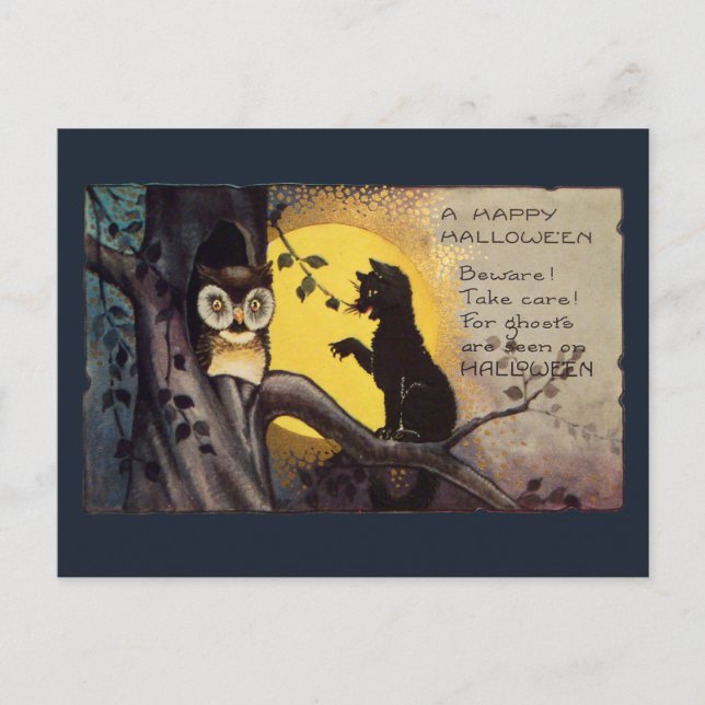 Postal Vintage Cat Warning Owl Spooky Halloween Postcard (Anverso)