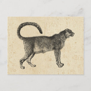 Postal Vintage Cheetah