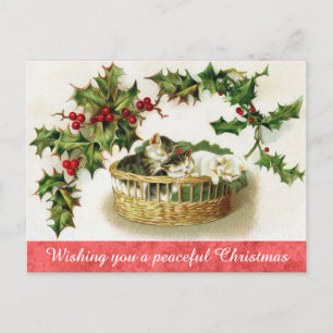 Postal Vintage Christmas Cute Kitten Cat