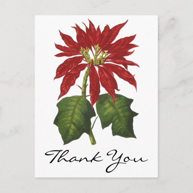Postal Vintage Christmas Gracias (Anverso)
