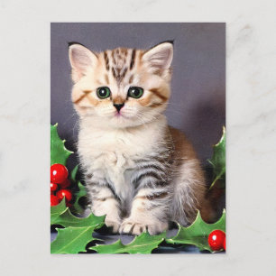 Postal Vintage Christmas Kitten and Holly