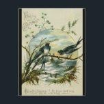 Postal Vintage Christmas Swallows Birds<br><div class="desc">Esta postal presenta un ilustracion vintage de golondrinas en una rama y detrás de ellos se encuentra un escenario invernal. En la parte superior, con una fuente ornamentada, hay un saludo. En el fondo, el sentimiento dice "Feliz que sus Navidades sean... Que la Felicidad Dorada en los tiempos de Swift...</div>