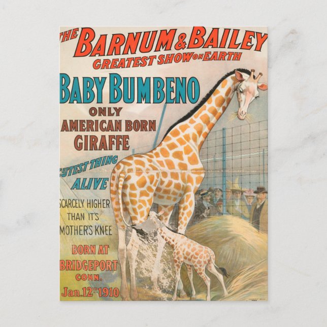 Postal Vintage: Circo Barnum & Bailey - (Anverso)