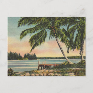 Postal Vintage Coconut Palmas Breeze Tropical Sunset