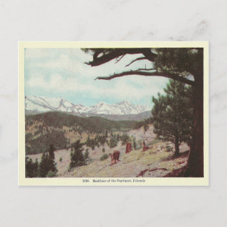 Postal Vintage Colorado