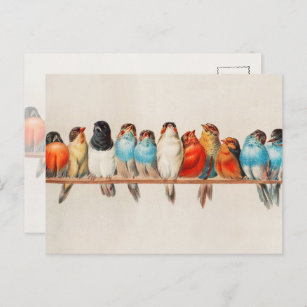 Postal Vintage Colorful Birds Watercolor Naturaleza Vida 