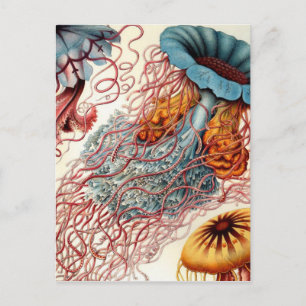 Postal Vintage Colorful Jellyfish