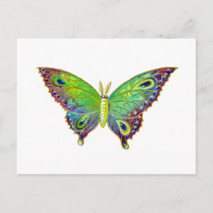 Postal Vintage Colorful Moth