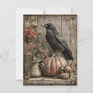 Postal Vintage Crow and Pumpkin Still Life