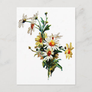 Postal *Vintage Daisy* Flower Art