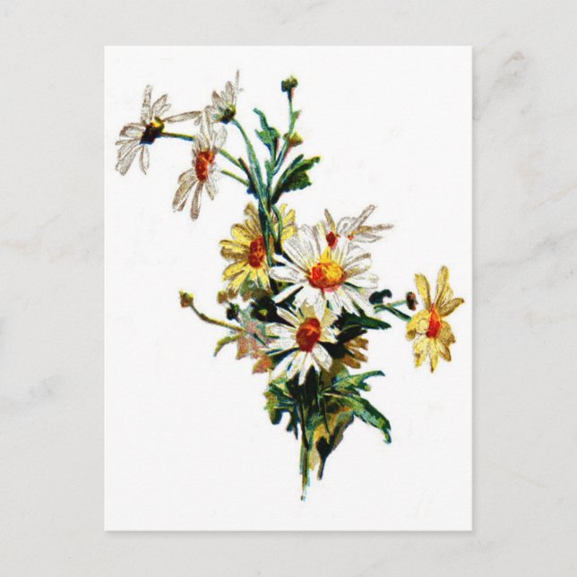 Postal *Vintage Daisy* Flower Art (Anverso)