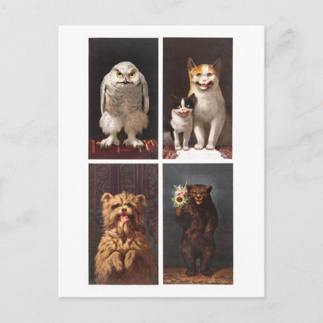 Postal vintage de animales victorianos de esceptic (Anverso)