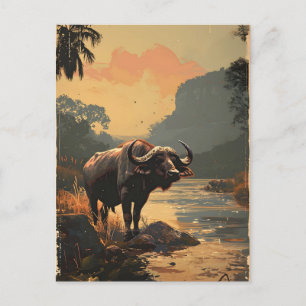 Postal Vintage de búfalo de agua