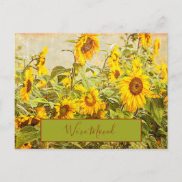 Postal Vintage de campo de girasol que hemos movido de am