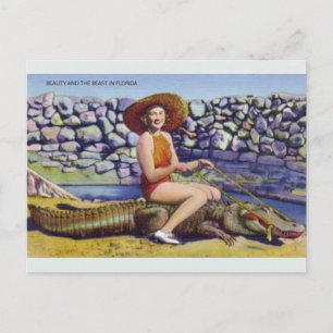 Postal vintage de Florida