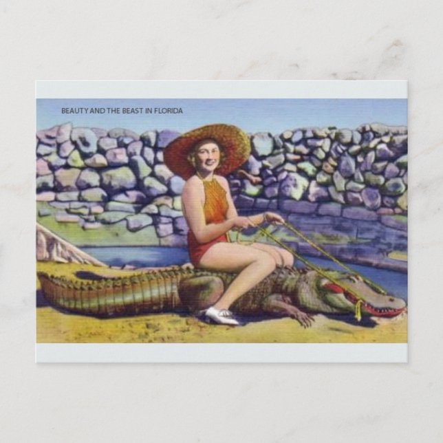 Postal vintage de Florida (Anverso)