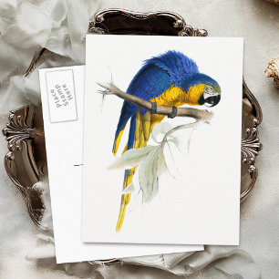 Postal Vintage de macao azul y amarillo